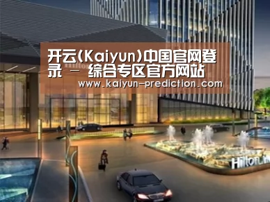 案例展示二