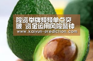 险资举牌频频单点突破 资金运用风险警钟敲响‘开云体育’(图3) 开云官网