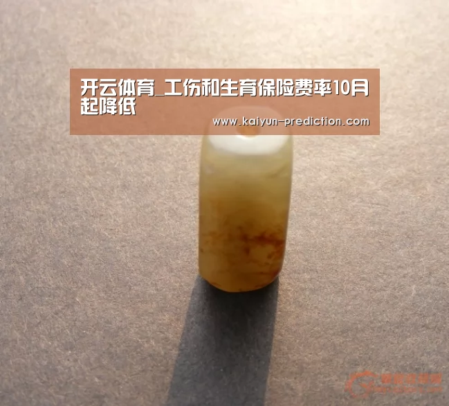 开云体育_工伤和生育保险费率10月起降低(图2) 开云官网