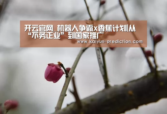 开云官网_机器人争霸x香蕉计划|从“不务正业”到国家推广(图1) 开云频道