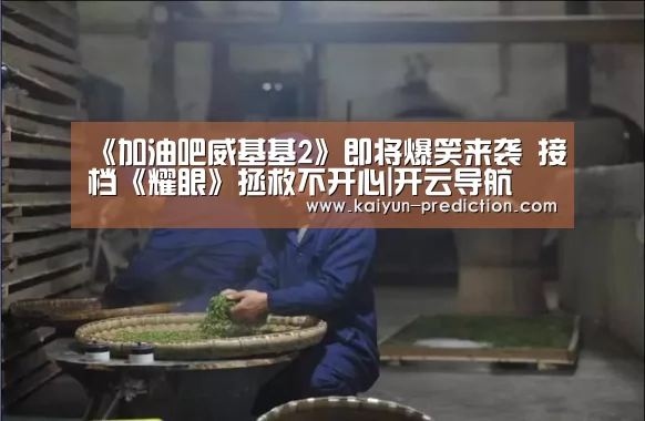 《加油吧威基基2》即将爆笑来袭 接档《耀眼》拯救不开心|开云导航(图3) 开云导航