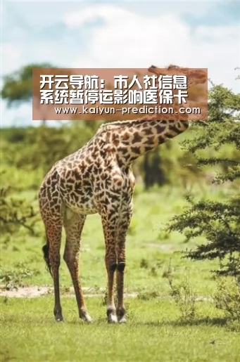 开云官网