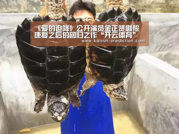 《爱的迫降》公开演员金正贤剧照 康复之后的回归之作“开云体育”(图3) 开云官网